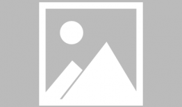 91免费下载直播app,畅享海量直播盛宴，轻松开启娱乐新篇章